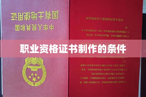 怀仁职业资格证书制作的条件