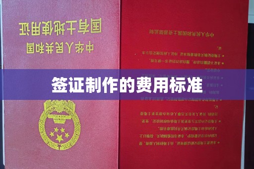怀仁签证制作的费用标准