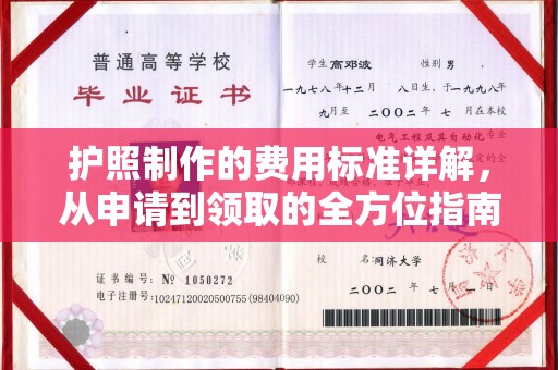 怀仁护照制作的费用标准详解，从申请到领取的全方位指南